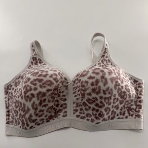 Cacique Lightly Lined No Wire Bra Ivory and Brown Plus Size 42G